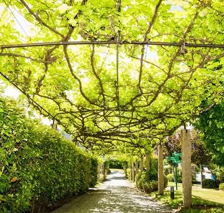 Pazo Do Rio 酒店