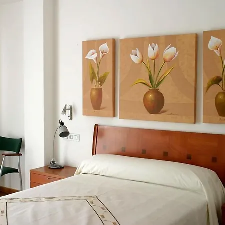 호텔 Pazo Do Rio 4*